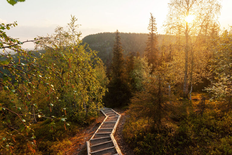 Kodumets põhjas – Valtavaara, Kuusamo.