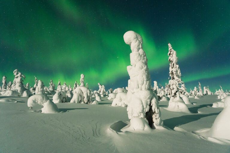 Riisitunturi. Talv ja suvi.