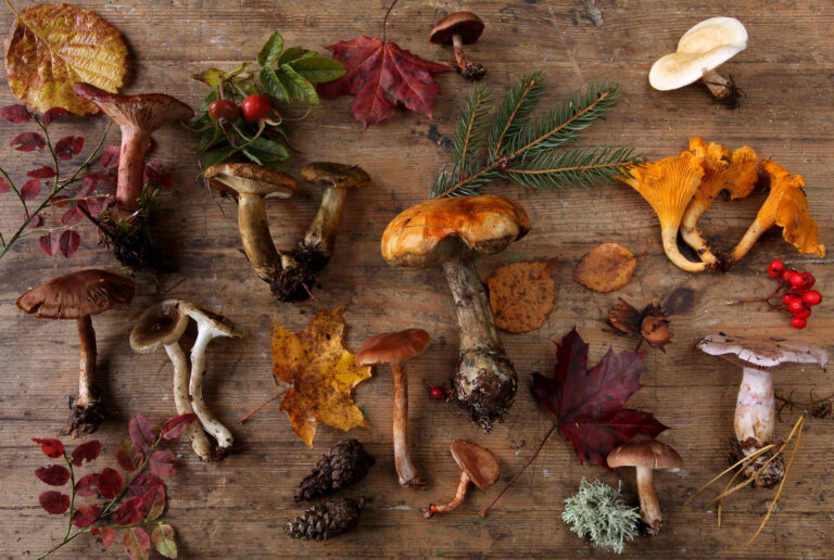 National Geographicus ilmunud fotod